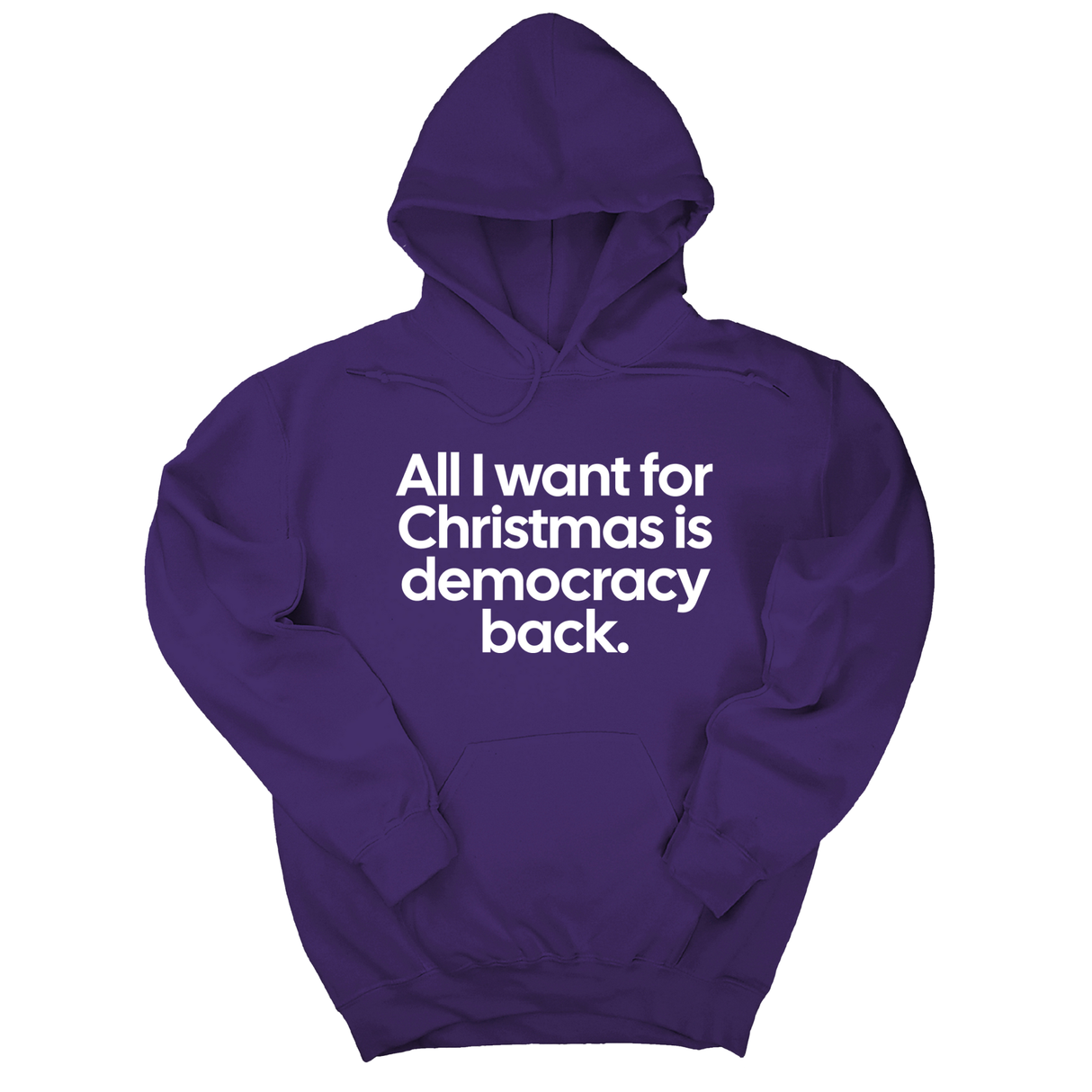 *HOODIE* All I Want for Christmas Is Democracy Back Unisex Hoodie-Hoodie-The Original God Ain't Petty But I Am