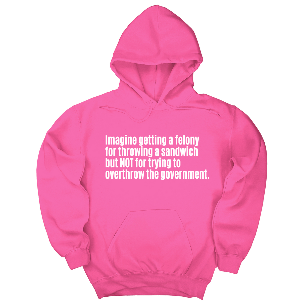 *HOODIE* Imagine Getting a Felony for Throwing a Sandwich but Not for Trying to Overthrow the Government Unisex Hoodie-Hoodie-The Original God Ain't Petty But I Am