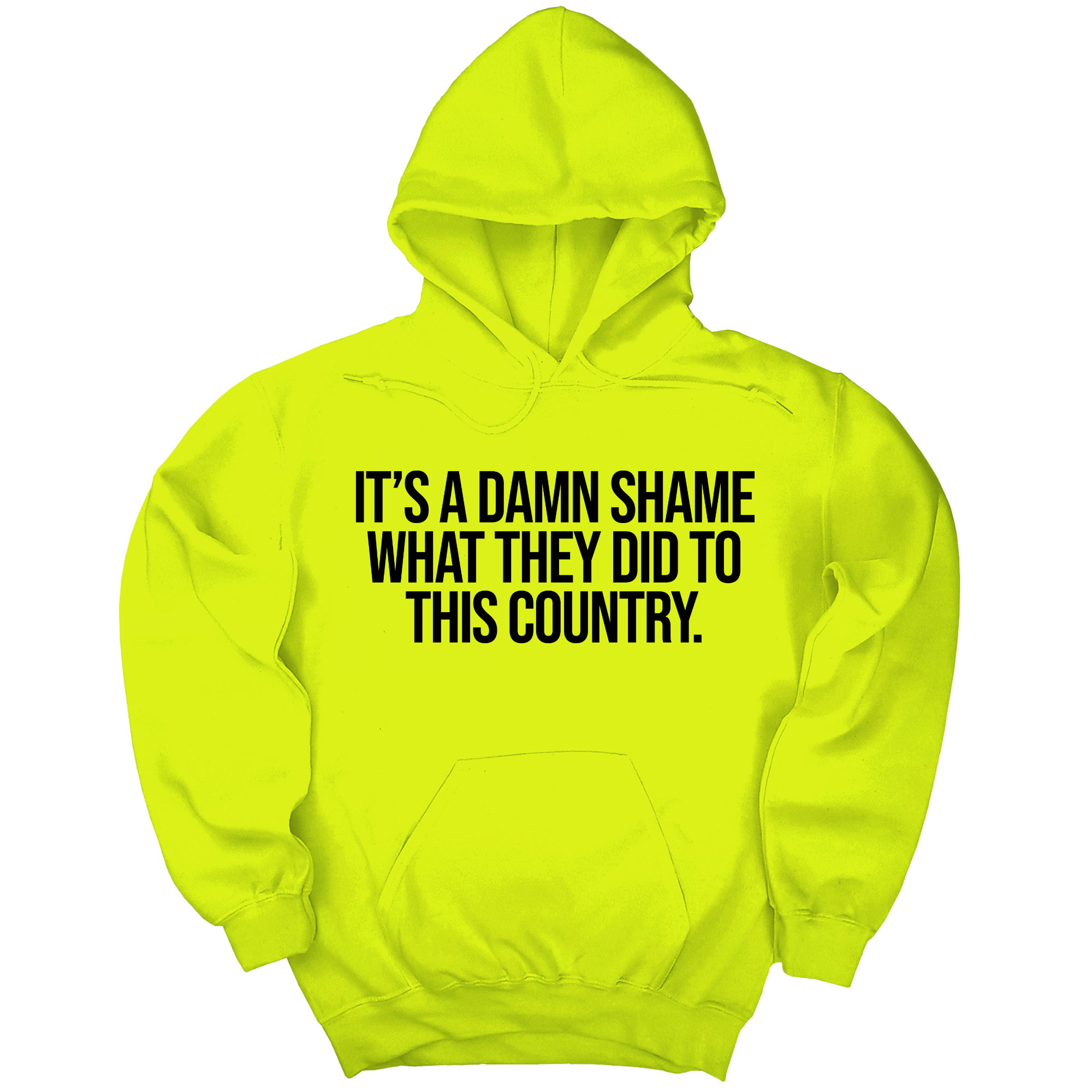*HOODIE* It’s a damn shame what they did to this country Unisex Hoodie-Hoodie-The Original God Ain't Petty But I Am