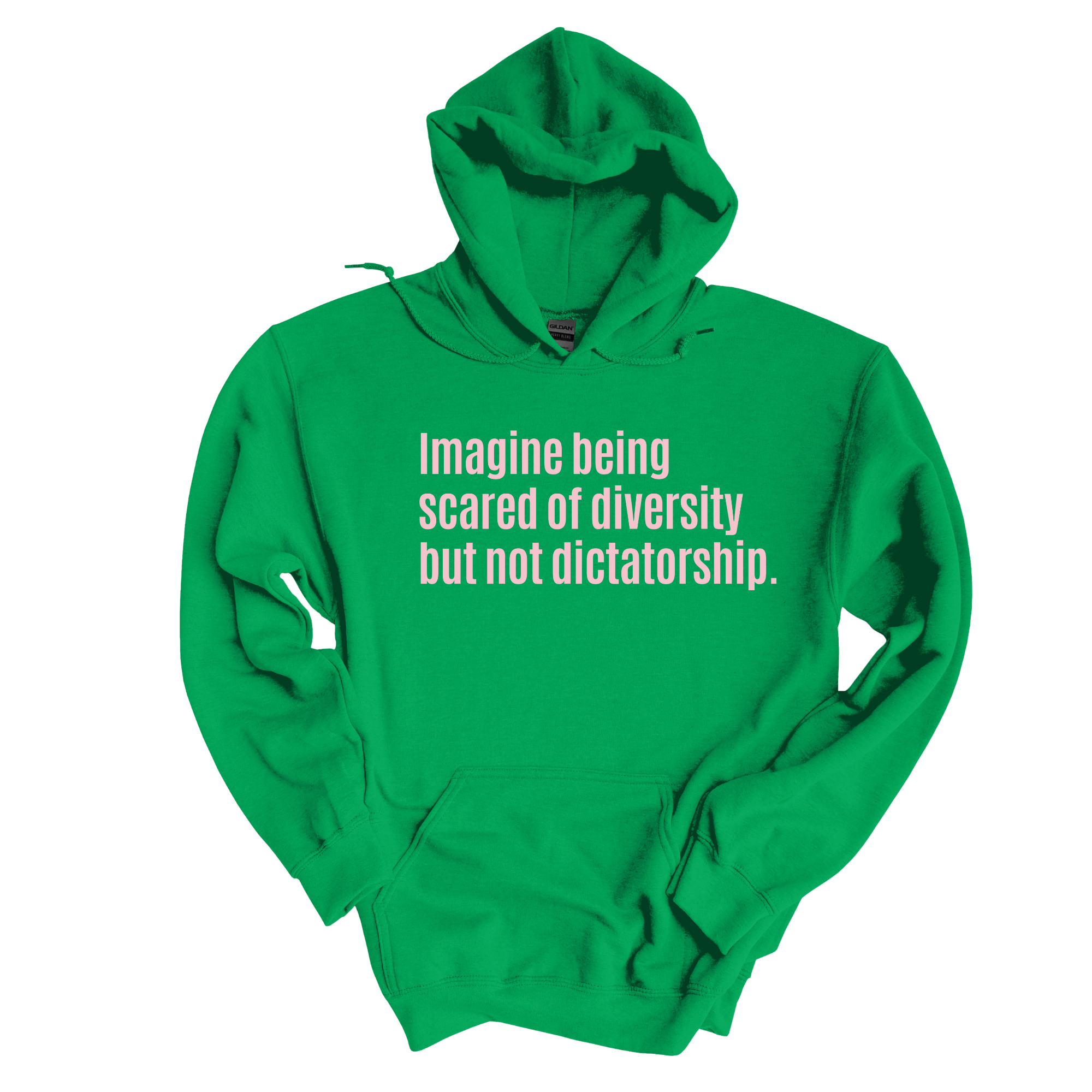 Imagine Being Scared of Diversity But Not Dictatorship Unisex Hoodie (LIMITED EDITION)-Hoodie-The Original God Ain't Petty But I Am