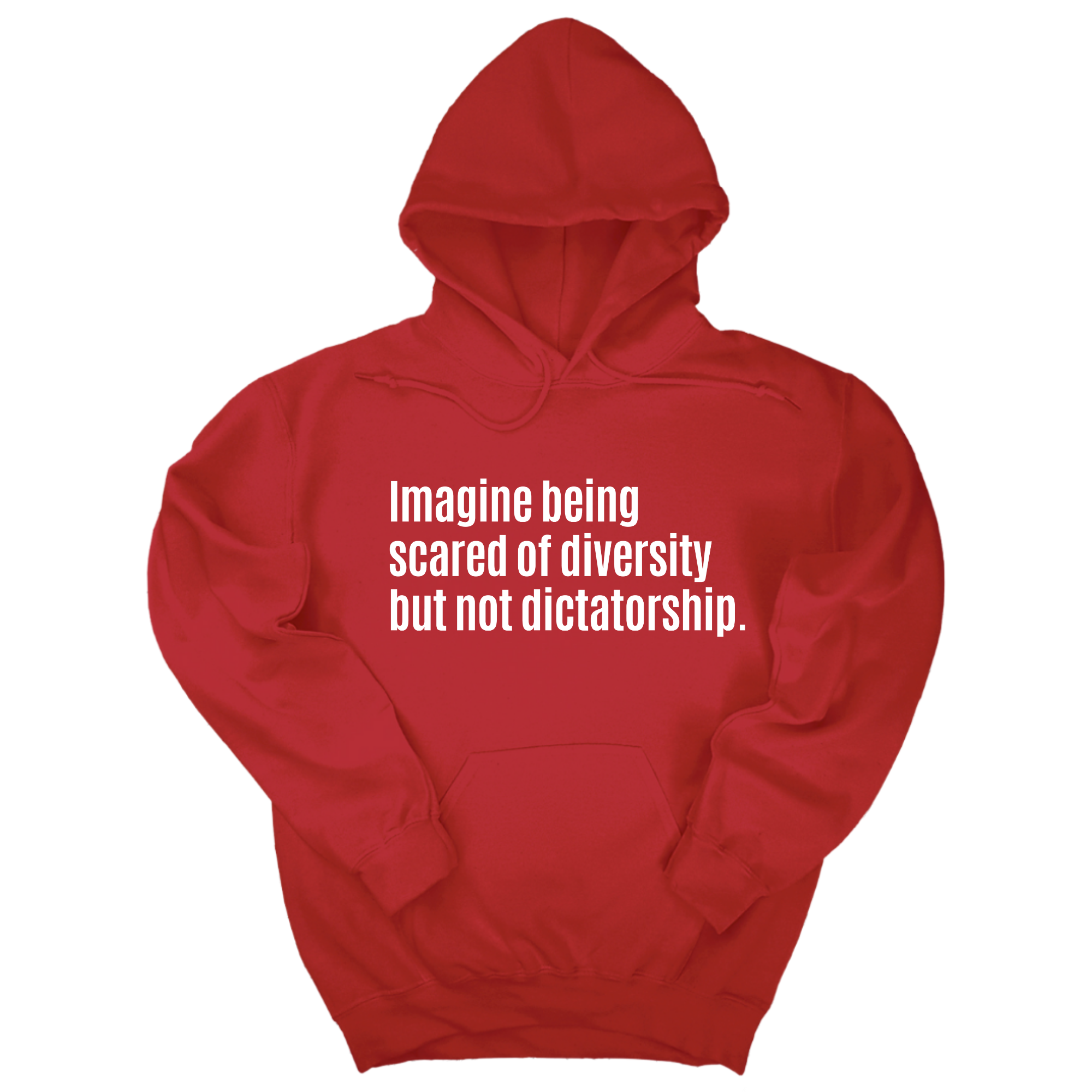 Imagine Being Scared of Diversity But Not Dictatorship Unisex Hoodie (LIMITED EDITION)-Hoodie-The Original God Ain't Petty But I Am