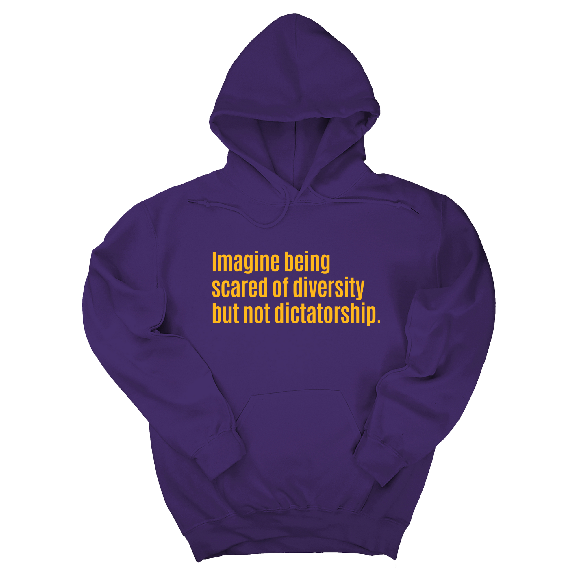 Imagine Being Scared of Diversity But Not Dictatorship Unisex Hoodie (LIMITED EDITION)-Hoodie-The Original God Ain't Petty But I Am