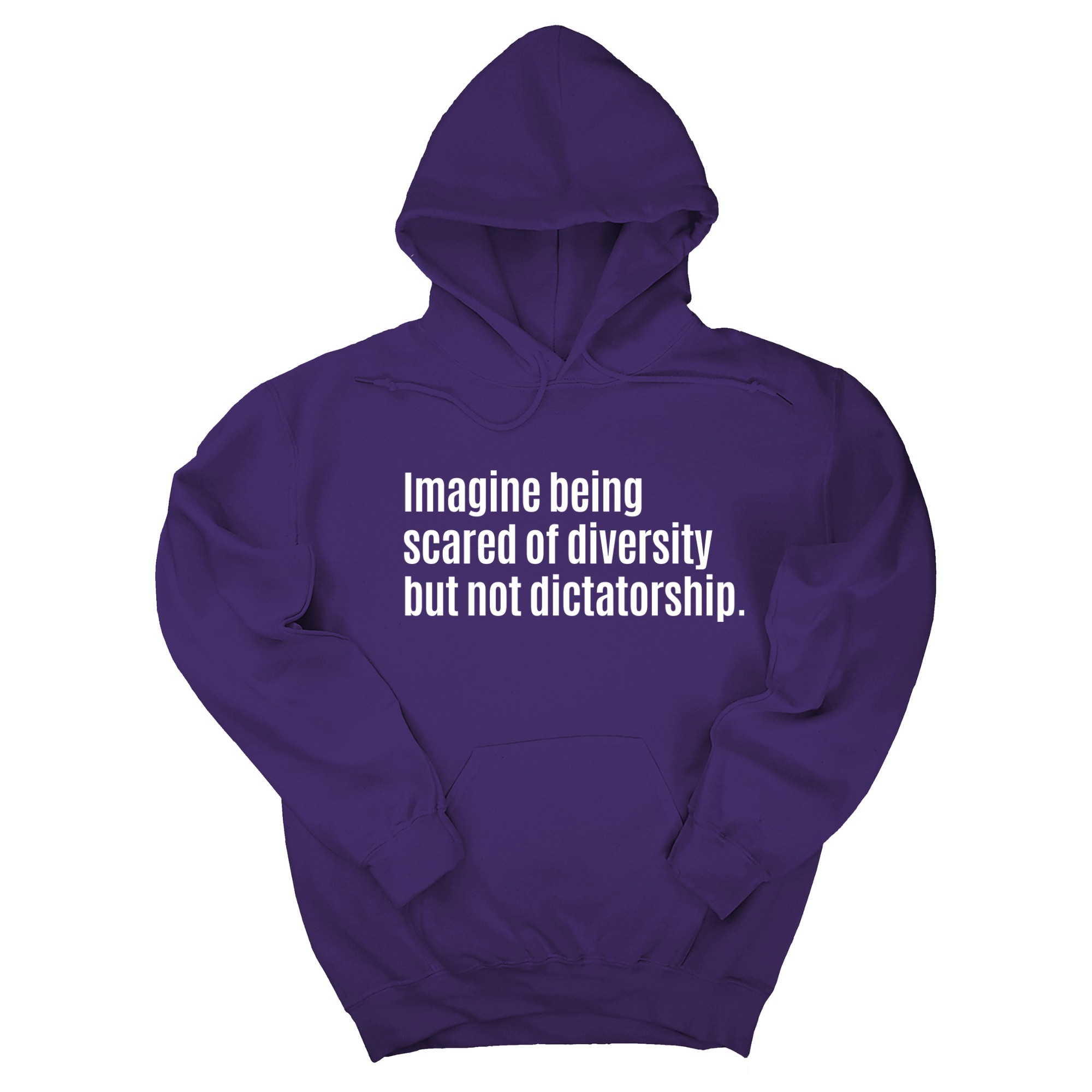 Imagine Being Scared of Diversity But Not Dictatorship Unisex Hoodie (LIMITED EDITION)-Hoodie-The Original God Ain't Petty But I Am