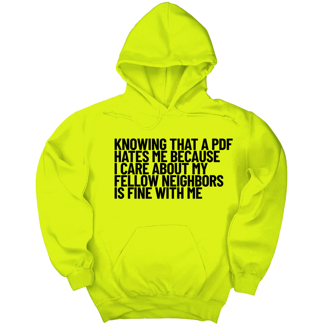 Knowing That A PDF Hates Me Is Fine WIth Me Unisex Hoodie-Hoodie-The Original God Ain't Petty But I Am