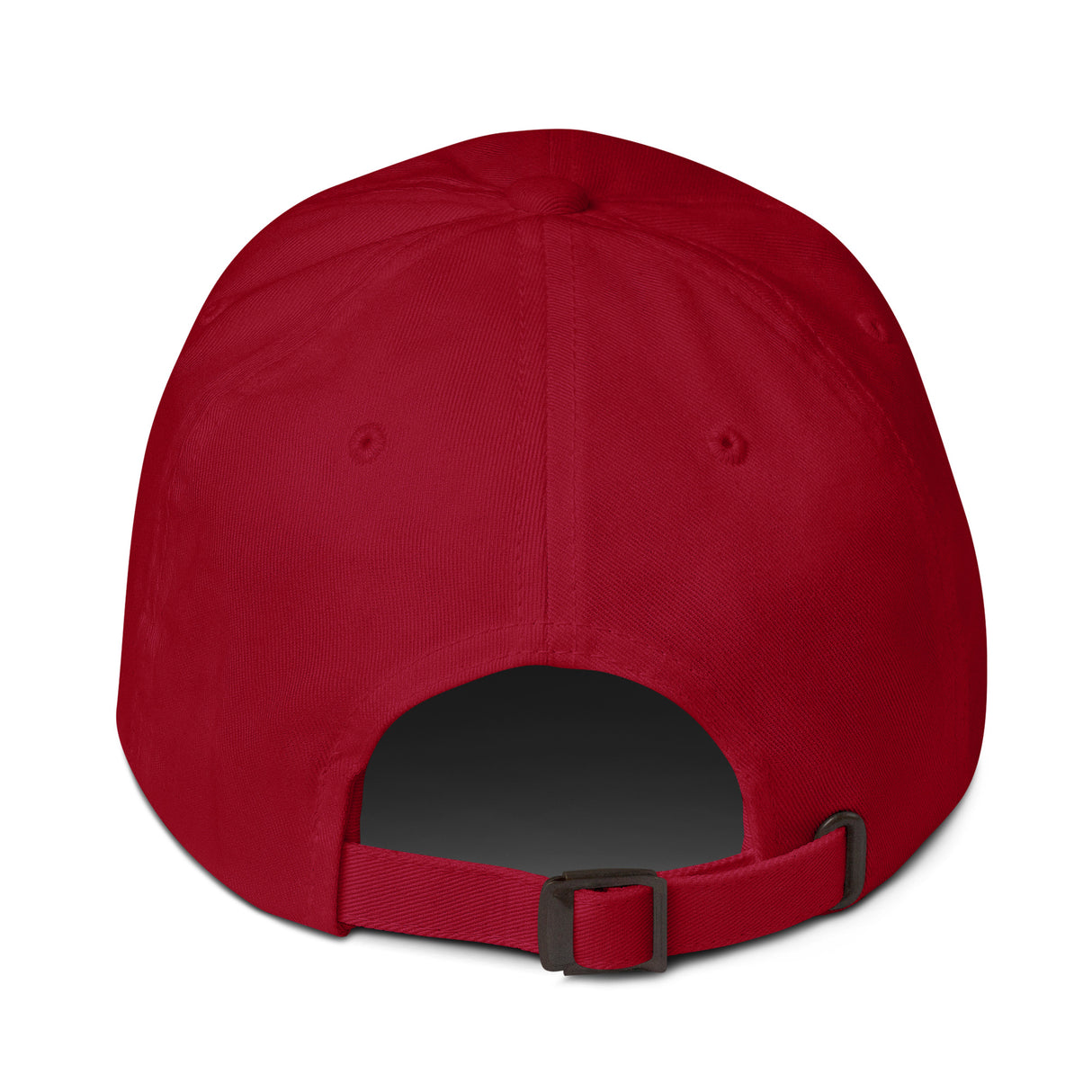 Not Him 2028 Rules Are Rules Dad Hat-Hats-The Original God Ain't Petty But I Am