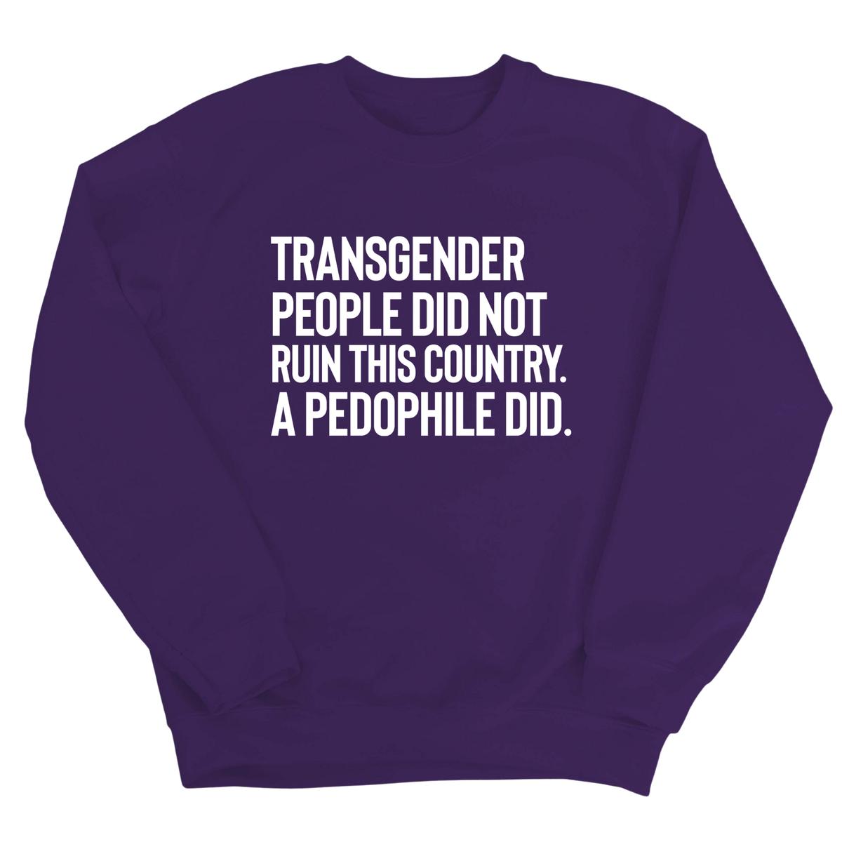 Transgender People Did Not Ruin This Country. A Pedophile Did Unisex Sweatshirt