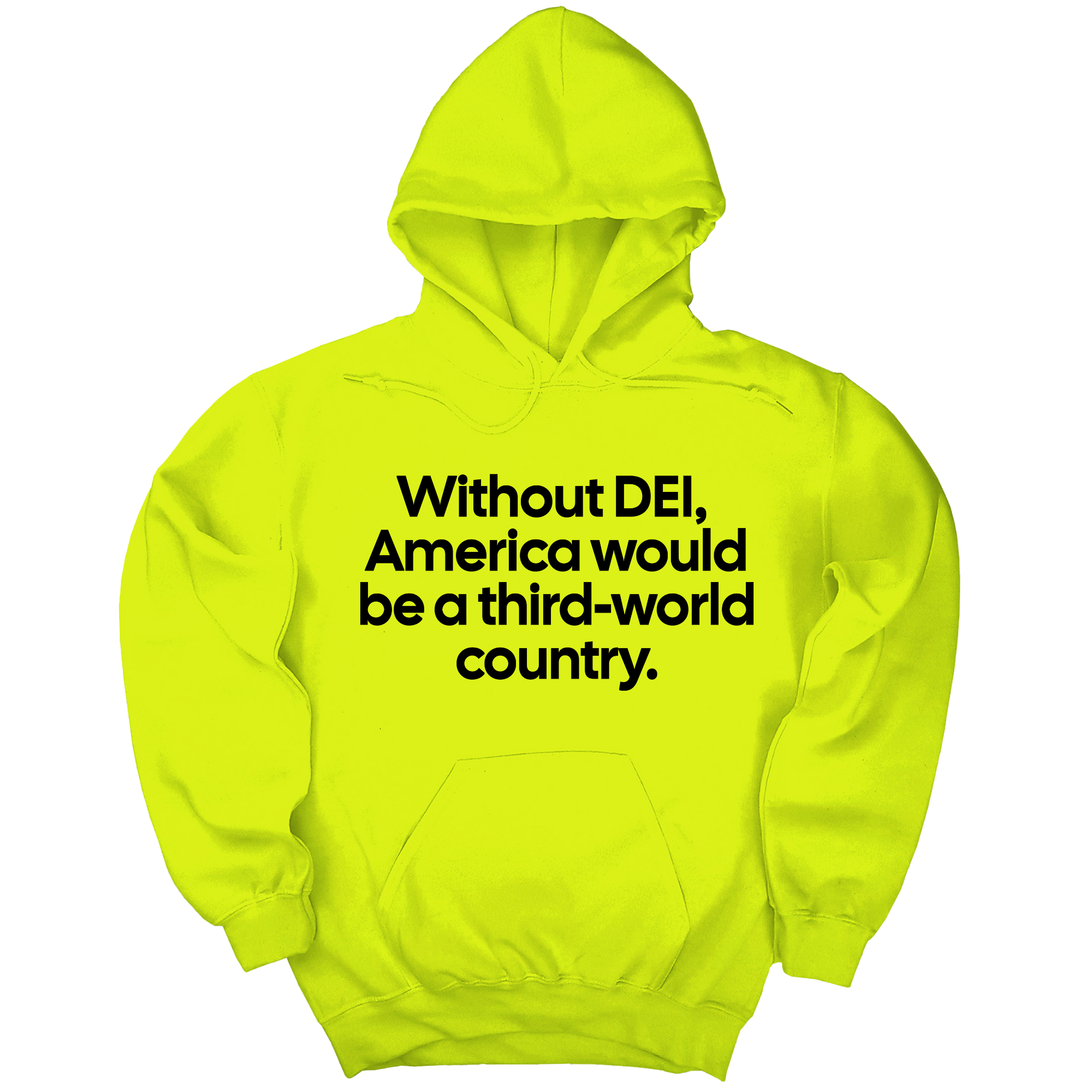 Without DEI, America Would Be a Third-World Country Unisex Hoodie-Hoodie-The Original God Ain't Petty But I Am