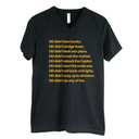 DEI Didn’t Do Any of This *BLACK V-NECK* Unisex Tee-T-Shirt-The Original God Ain't Petty But I Am
