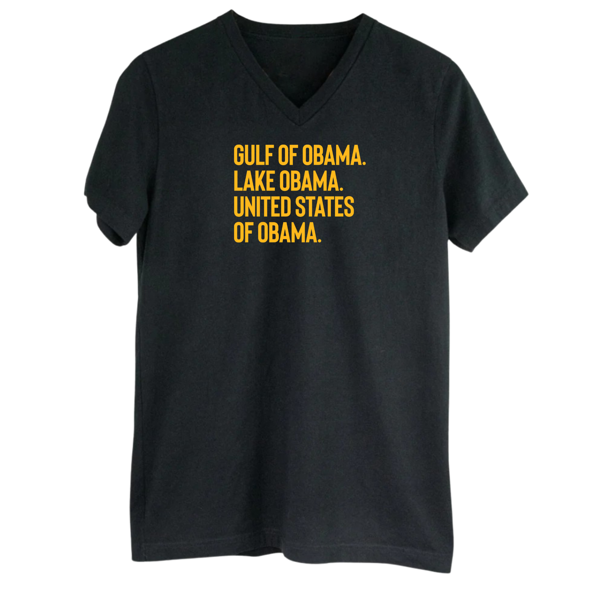 Gulf of Obama. Lake Obama. The United States of Obama *BLACK V-NECK* Unisex Tee-T-Shirt-The Original God Ain't Petty But I Am
