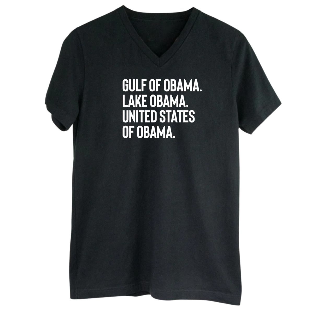 Gulf of Obama. Lake Obama. The United States of Obama *BLACK V-NECK* Unisex Tee-T-Shirt-The Original God Ain't Petty But I Am