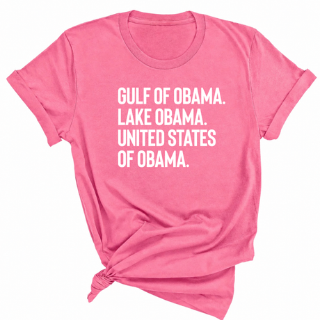 Gulf of Obama. Lake Obama. The United States of Obama Unisex Tee-T-Shirt-The Original God Ain't Petty But I Am
