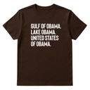 Gulf of Obama. Lake Obama. The United States of Obama Unisex Tee-T-Shirt-The Original God Ain't Petty But I Am