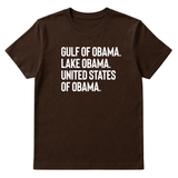 Gulf of Obama. Lake Obama. The United States of Obama Unisex Tee-T-Shirt-The Original God Ain't Petty But I Am