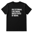 Gulf of Obama. Lake Obama. The United States of Obama Unisex Tee-T-Shirt-The Original God Ain't Petty But I Am