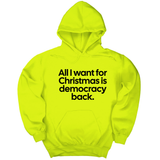 *HOODIE* All I Want for Christmas Is Democracy Back Unisex Hoodie-Hoodie-The Original God Ain't Petty But I Am