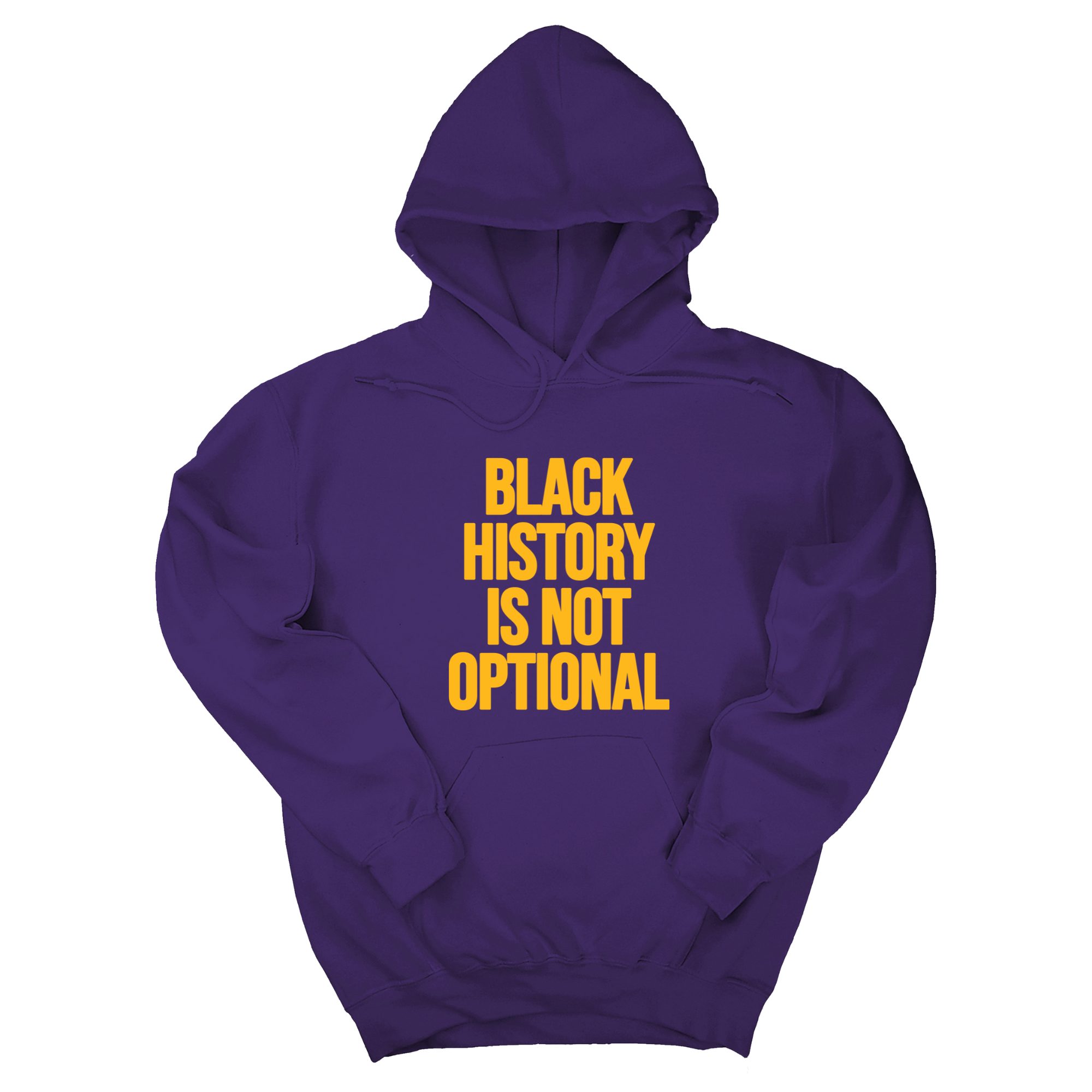*HOODIE* Black History is Not Optional Unisex Hoodie-Hoodie-The Original God Ain't Petty But I Am