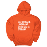 *HOODIE* Gulf of Obama. Lake Obama. The United States of Obama Unisex Hoodie-Hoodie-The Original God Ain't Petty But I Am