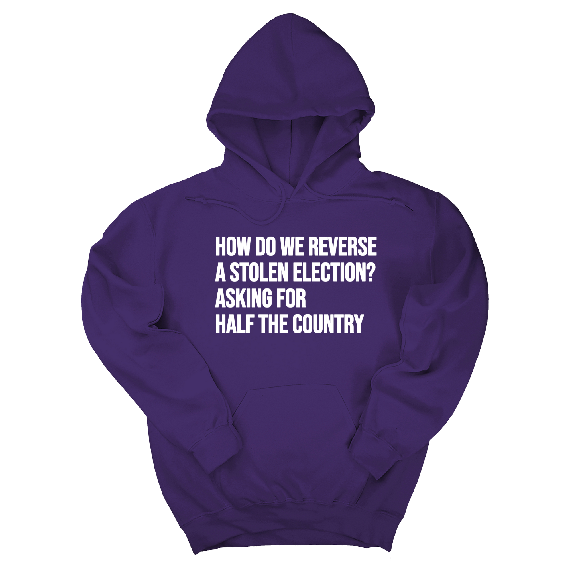 *HOODIE* How Do We Reverse a Stolen Election? Asking for Half the Country Unisex Hoodie-Hoodie-The Original God Ain't Petty But I Am