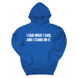 *HOODIE* I Said What I Said and I Stand on It Unisex Hoodie-Hoodie-The Original God Ain't Petty But I Am