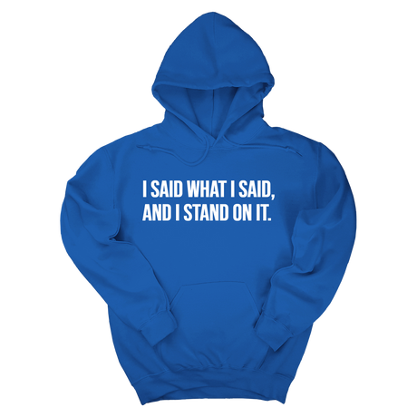 *HOODIE* I Said What I Said and I Stand on It Unisex Hoodie-Hoodie-The Original God Ain't Petty But I Am