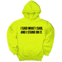 *HOODIE* I Said What I Said and I Stand on It Unisex Hoodie-Hoodie-The Original God Ain't Petty But I Am