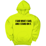 *HOODIE* I Said What I Said and I Stand on It Unisex Hoodie-Hoodie-The Original God Ain't Petty But I Am