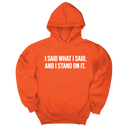 *HOODIE* I Said What I Said and I Stand on It Unisex Hoodie-Hoodie-The Original God Ain't Petty But I Am