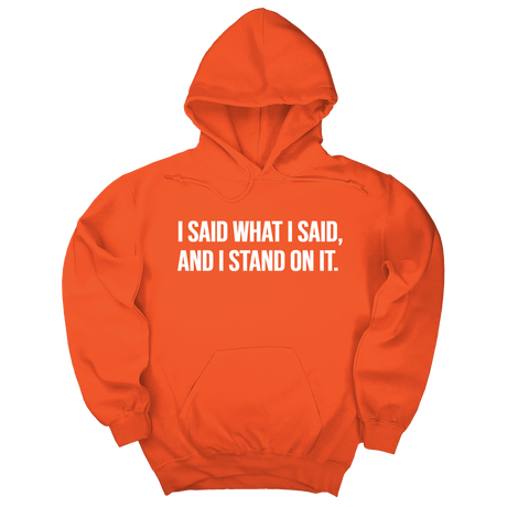 *HOODIE* I Said What I Said and I Stand on It Unisex Hoodie-Hoodie-The Original God Ain't Petty But I Am