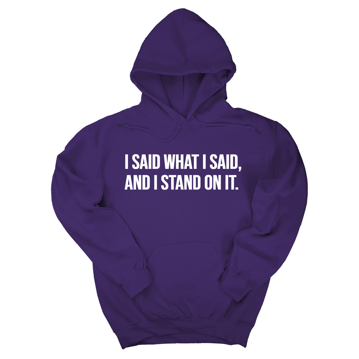 *HOODIE* I Said What I Said and I Stand on It Unisex Hoodie-Hoodie-The Original God Ain't Petty But I Am