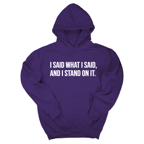 *HOODIE* I Said What I Said and I Stand on It Unisex Hoodie-Hoodie-The Original God Ain't Petty But I Am