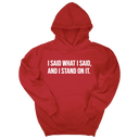 *HOODIE* I Said What I Said and I Stand on It Unisex Hoodie-Hoodie-The Original God Ain't Petty But I Am