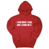 *HOODIE* I Said What I Said and I Stand on It Unisex Hoodie-Hoodie-The Original God Ain't Petty But I Am