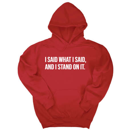 *HOODIE* I Said What I Said and I Stand on It Unisex Hoodie-Hoodie-The Original God Ain't Petty But I Am