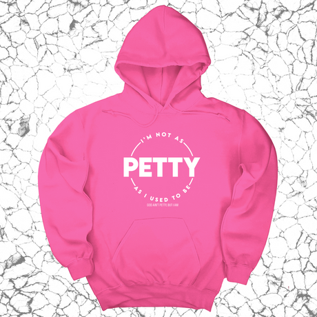 *HOODIE* I'm not as petty as I used to be Unisex Hoodie-Hoodie-The Original God Ain't Petty But I Am