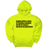 *HOODIE* Imagine Getting a Felony for Throwing a Sandwich but Not for Trying to Overthrow the Government Unisex Hoodie-Hoodie-The Original God Ain't Petty But I Am