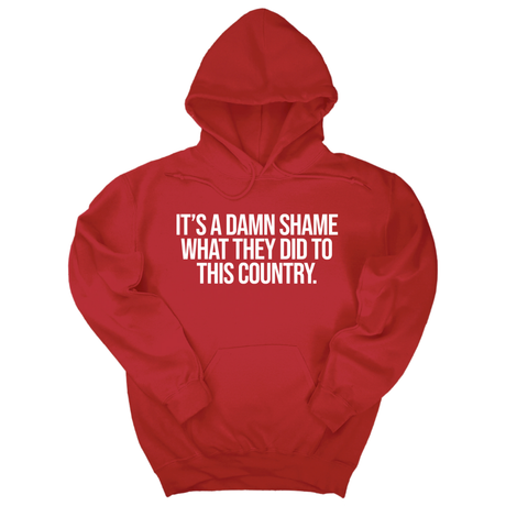 *HOODIE* It’s a damn shame what they did to this country Unisex Hoodie-Hoodie-The Original God Ain't Petty But I Am