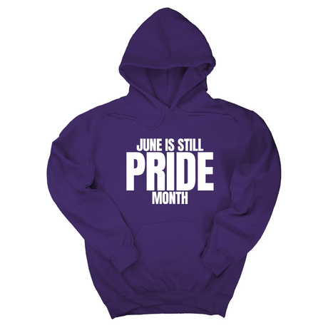 *HOODIE* June is Still Pride Month Unisex Hoodie-Hoodie-The Original God Ain't Petty But I Am