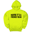 *HOODIE* Maybe It’s a Friendly Bear Unisex Hoodie-Hoodie-The Original God Ain't Petty But I Am