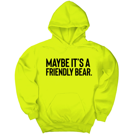 *HOODIE* Maybe It’s a Friendly Bear Unisex Hoodie-Hoodie-The Original God Ain't Petty But I Am