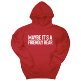 *HOODIE* Maybe It’s a Friendly Bear Unisex Hoodie-Hoodie-The Original God Ain't Petty But I Am