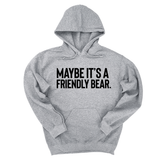 *HOODIE* Maybe It’s a Friendly Bear Unisex Hoodie-Hoodie-The Original God Ain't Petty But I Am