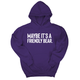 *HOODIE* Maybe It’s a Friendly Bear Unisex Hoodie-Hoodie-The Original God Ain't Petty But I Am