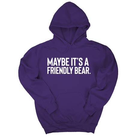 *HOODIE* Maybe It’s a Friendly Bear Unisex Hoodie-Hoodie-The Original God Ain't Petty But I Am