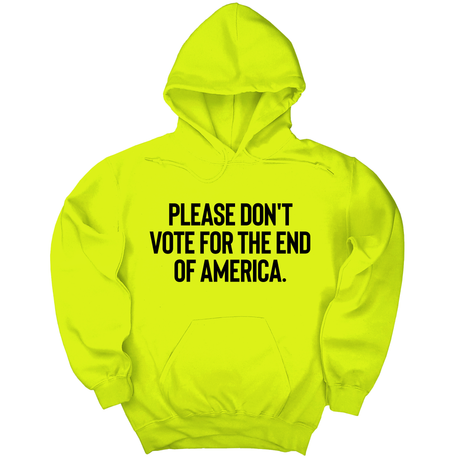 *HOODIE* Please Don’t Vote for the End of America Unisex Hoodie-Hoodie-The Original God Ain't Petty But I Am