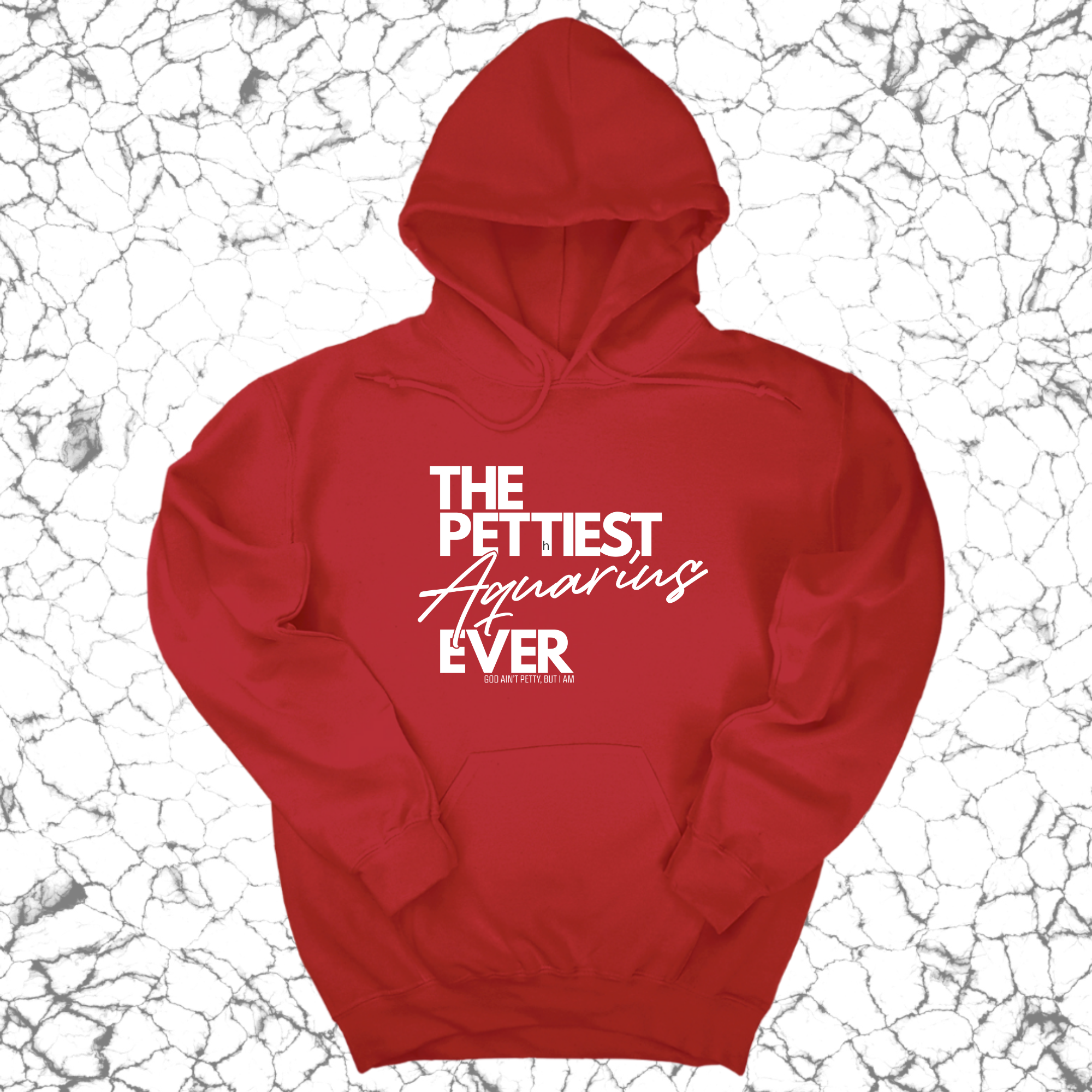 *HOODIE* The Pettiest Aquarius Ever Unisex Hoodie-Hoodie-The Original God Ain't Petty But I Am
