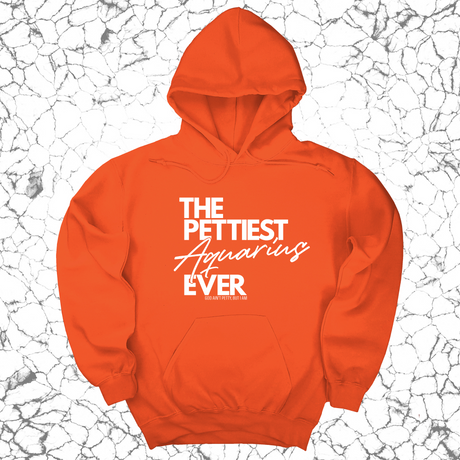 *HOODIE* The Pettiest Aquarius Ever Unisex Hoodie-Hoodie-The Original God Ain't Petty But I Am