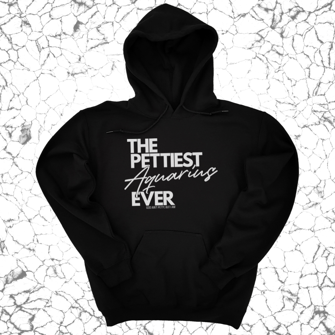 *HOODIE* The Pettiest Aquarius Ever Unisex Hoodie-Hoodie-The Original God Ain't Petty But I Am