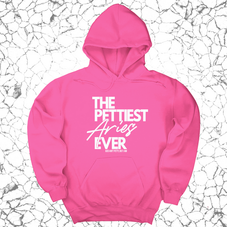 *HOODIE* The Pettiest Aries Ever Unisex Hoodie-Hoodie-The Original God Ain't Petty But I Am