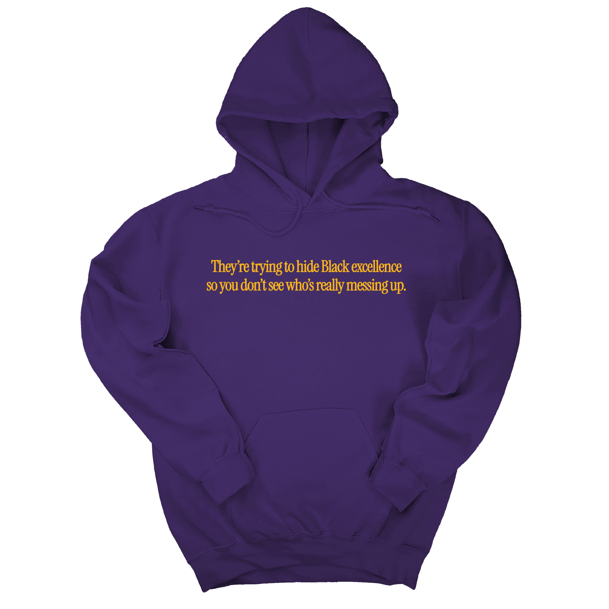 *HOODIE* They Trying to Hide Black Excellence So You Don’t See Who’s Really Messing Up Unisex Hoodie-Hoodie-The Original God Ain't Petty But I Am