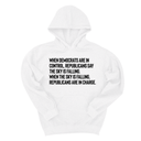 *HOODIE* When Democrats Are in Control, Republicans Say the Sky Is Falling. When the Sky Is Falling, Republicans Are in Charge Unisex Hoodie-Hoodie-The Original God Ain't Petty But I Am